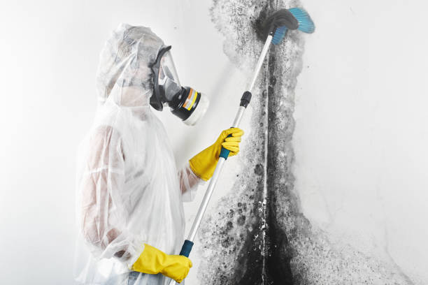 Best Post-Remediation Verification Testing  in Grandview, IL