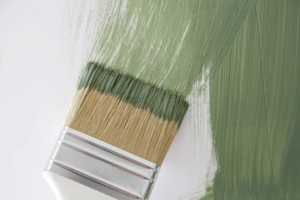 Best Water Damage & Mold Remediation  in Grandview, IL