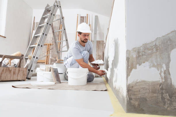 Best Asbestos and Lead Testing During Mold Inspection  in Grandview, IL