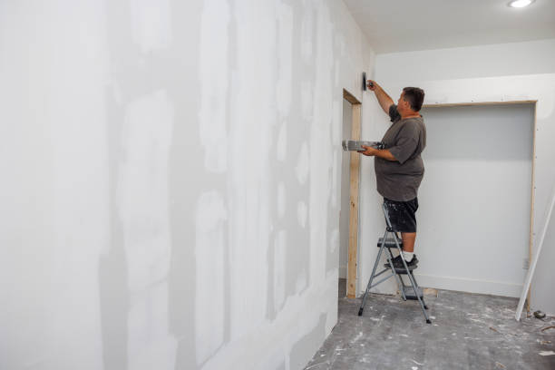 Mold Odor Removal Services in Grandview, IL