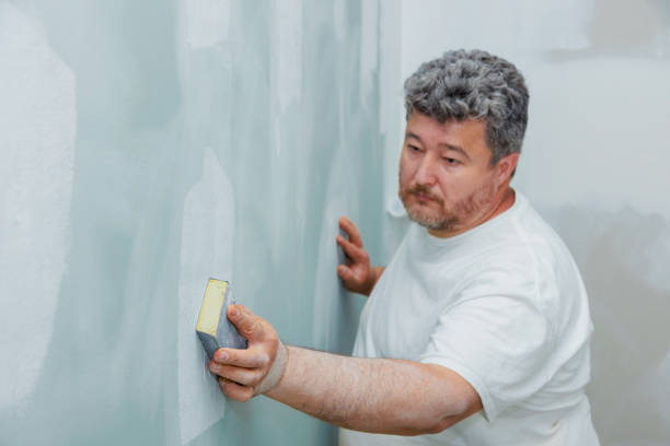 Best Mold-Related Health Consultation  in Grandview, IL