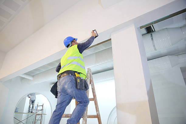 Trusted Grandview, IL Mold Removal Experts
