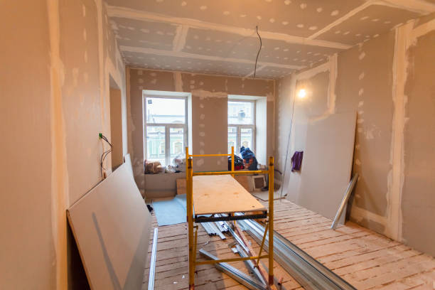 Best Mold Documentation for Insurance Claims  in Grandview, IL